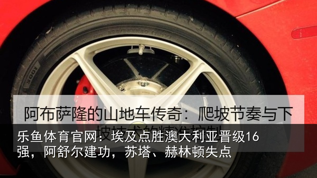 乐鱼体育官网：埃及相关情况16强阿相关情况顿失点