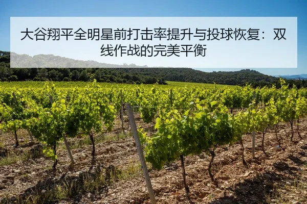 大谷翔平全明星前打击率提升与投球恢复：双线作战的完美平衡